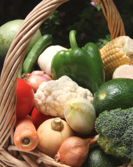 Captura desde 2026-03-02 12-18-40